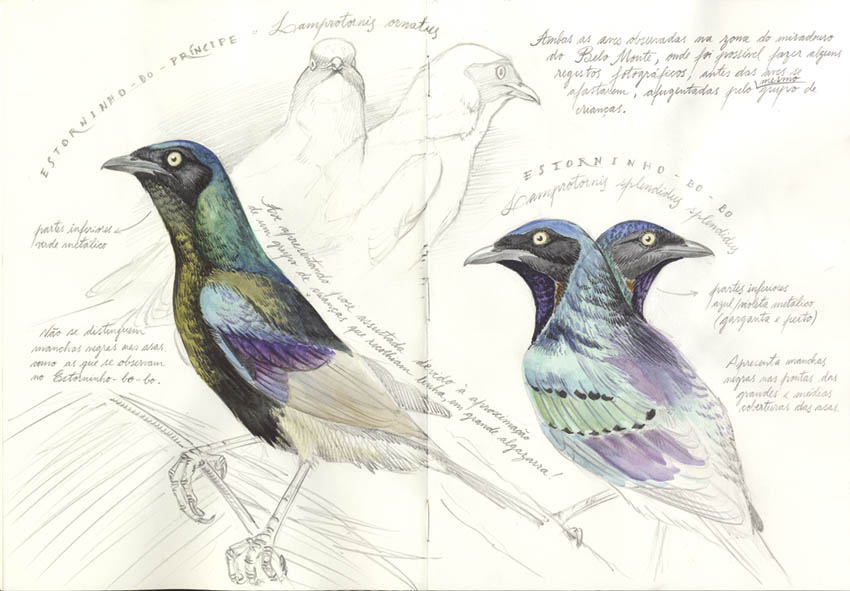 O clima está a mudar e é preciso intervir