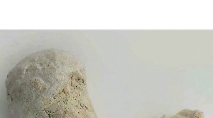 Ana+Betânia inauguraram nova exposição de cerâmica em Madrid