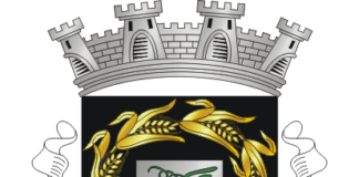 Lourinhã: Câmara lança podcast, newsletter e boletim municipal