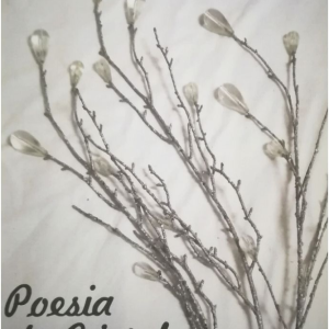 Poesia de Cristal por Stella Onofre