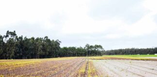 Comissão cívica defende que sejam as autarquias a licenciar os furos de água