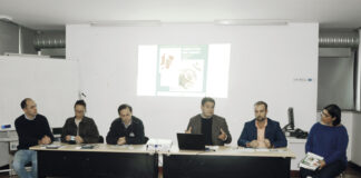 Bebidas são novidade no Green Food Festival