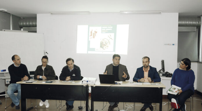 Bebidas são novidade no Green Food Festival