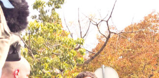 Reunião com ministra da Saúde sem respostas para as Caldas