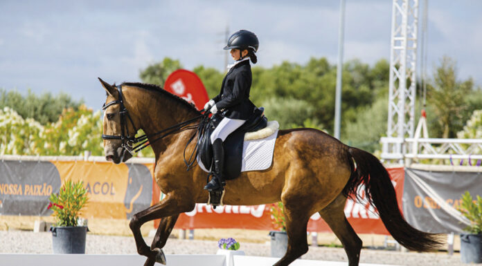 Equitação: Áurea Sábio sagra-se campeã nacional de iniciados