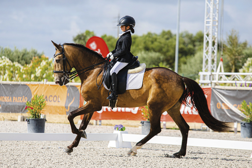 Equitação: Áurea Sábio sagra-se campeã nacional de iniciados
