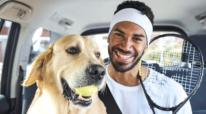 Uber já permite viajar com animais de estimação