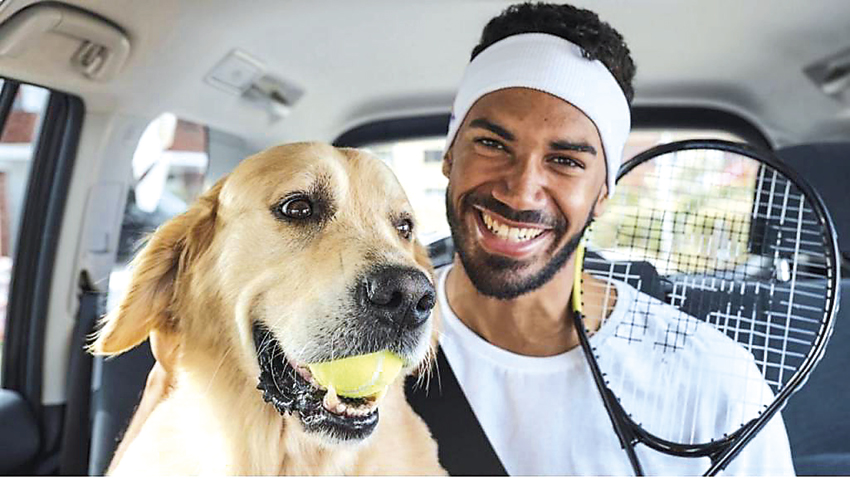 Uber já permite viajar com animais de estimação