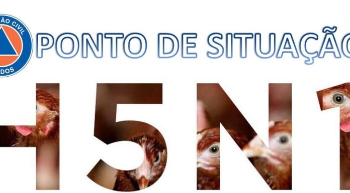 Análises às explorações com surto de gripe viária deram negativo