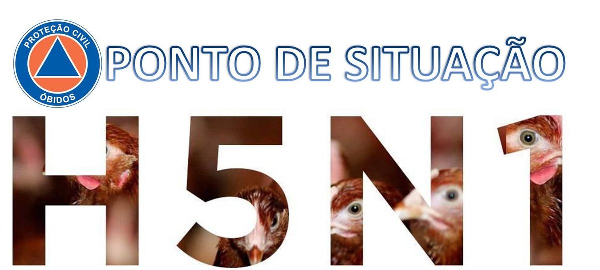 Análises às explorações com surto de gripe viária deram negativo