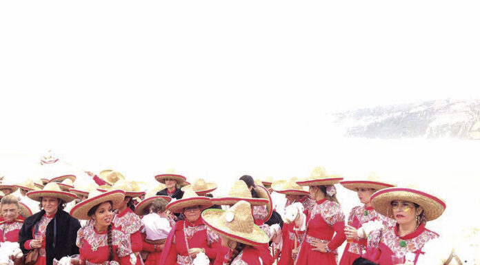 Nazaré: Organização do Carnaval cancela festividades de rua