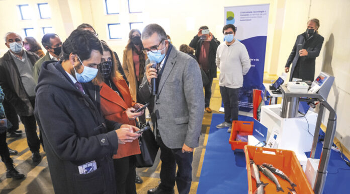 Bitcliq desenvolve nova aplicação para a Docapesca