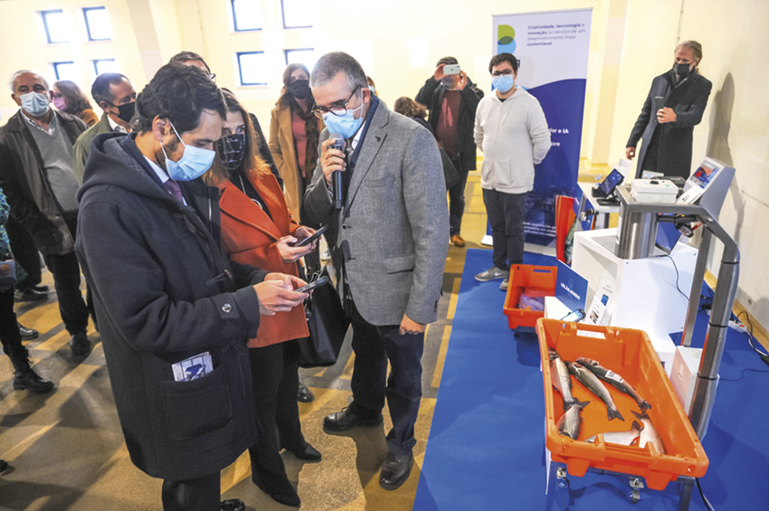 Bitcliq desenvolve nova aplicação para a Docapesca