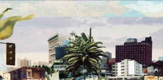 João Pombeiro distinguido com prémio internacional