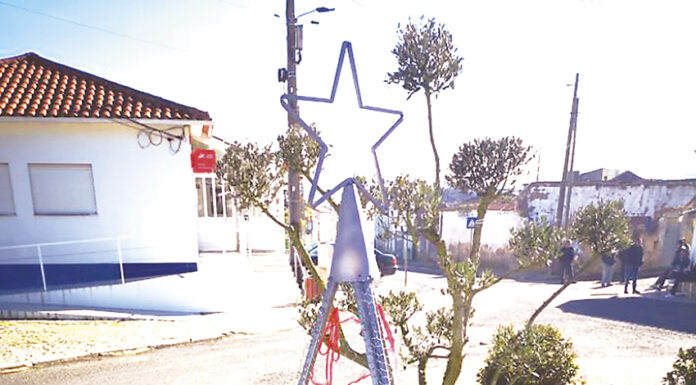 Uma árvore de Natal solidária cresce no Vau