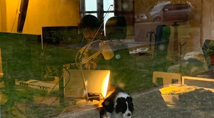 Cave Story lançam novo EP nos últimos dias do ano