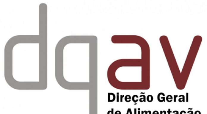 Identificado foco de gripe viária em exploração de perus em Óbidos