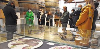 Museu do Vinho acolhe cerâmica de todo o país