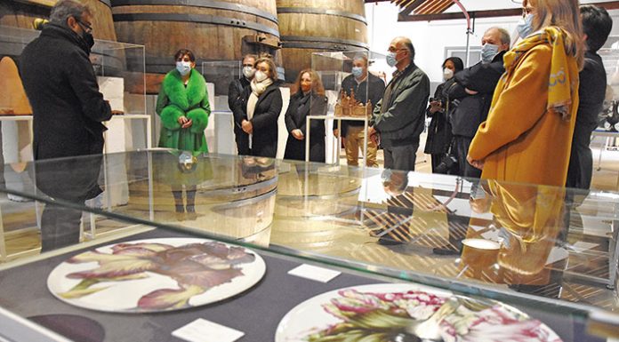 Museu do Vinho acolhe cerâmica de todo o país
