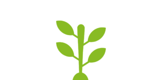 Foz do Arelho: Cocos Bar mudou de conceito e abre portas amanhã