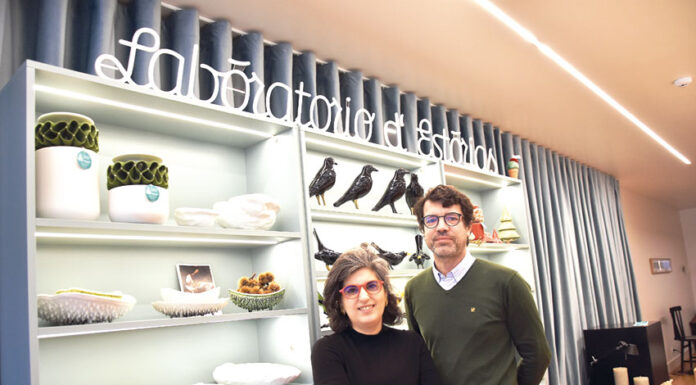 Laboratório d’Estórias inicia novo ano com libelinha e peça utilitária