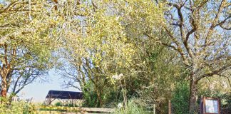 Cidade de Eburobrittium continua ao abandono