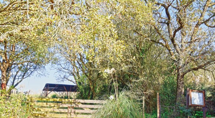Cidade de Eburobrittium continua ao abandono