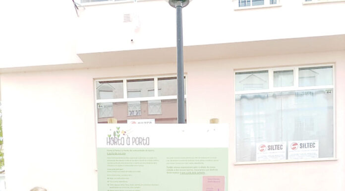 Hortas à Porta já têm plantação de outono/inverno