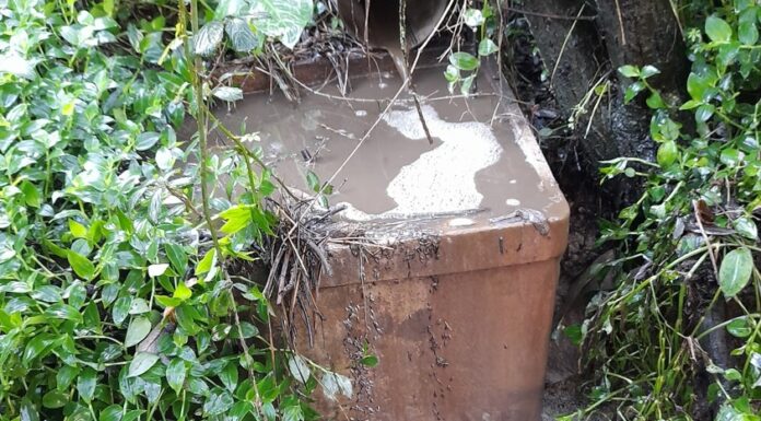 GNR deteta descarga ilegal de efluentes pecuários em Alvorninha