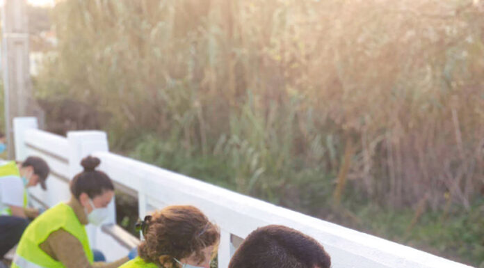 Grupo de jovens voluntários de Salir de Matos recuperou ponte