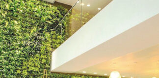 Benedita: Julipedra entregou duas novas obras nos Países Baixos