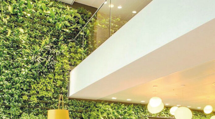 Benedita: Julipedra entregou duas novas obras nos Países Baixos