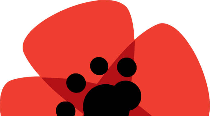 Livre apresenta candidatura ao círculo eleitoral de Leiria nas Caldas