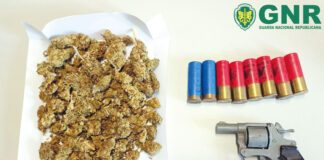 Óbidos/Bombarral: Três detidos por tráfico de estupefacientes