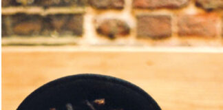 Cultura: Conversa com a antropóloga visual Sofia Yala no sábado nos Silos