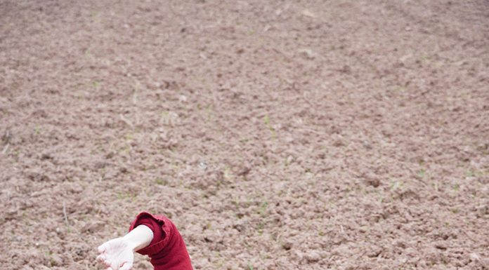 Bailarina mexicana assina performance em Cortém