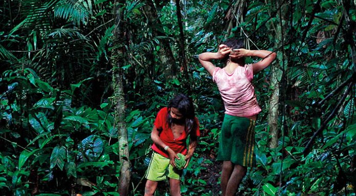 Realizadores da região têm filmes no festival de Berlim
