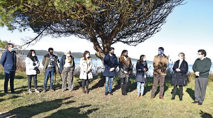 BioLagoa de Óbidos quer potenciar conservação das aves aquáticas