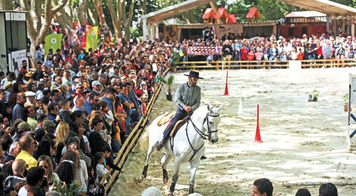 Oeste Lusitano despede-se do Parque e deve passar para recinto de eventos