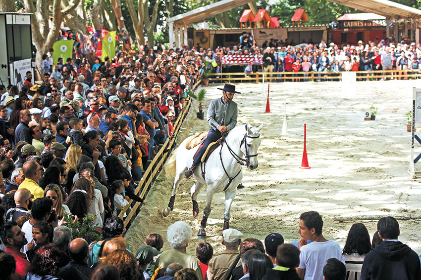 Oeste Lusitano despede-se do Parque e deve passar para recinto de eventos