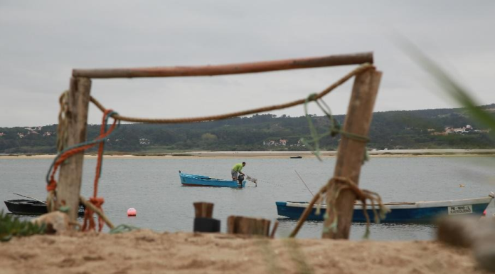 PCP denuncia falta de isco para a pesca artesanal no distrito de Leiria