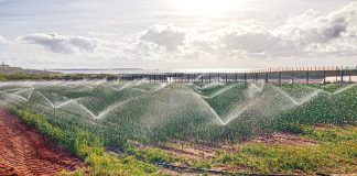 Seca e aumento de custos pressionam agricultores