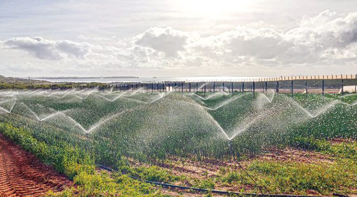 Seca e aumento de custos pressionam agricultores