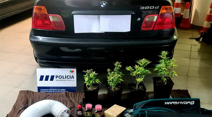 PSP detém condutor na posse de estupefacientes nas Caldas