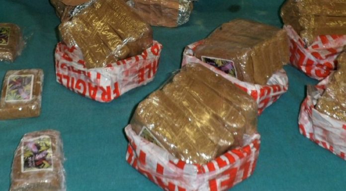 Homem detido com 7.382 doses de canábis em Alcobaça