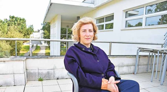 Isabel Aboim Inglez divide-se entre a ESAD e os filmes