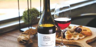 Vinhos: AdegaMãe apresenta novo Tinto Atlântico 2020
