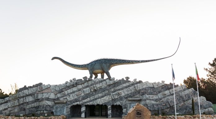 Dino Parque celebra Semana do Ambiente