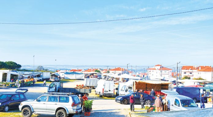 Câmara das Caldas quer mudar mercado abastecedor para a zona dos Texugos