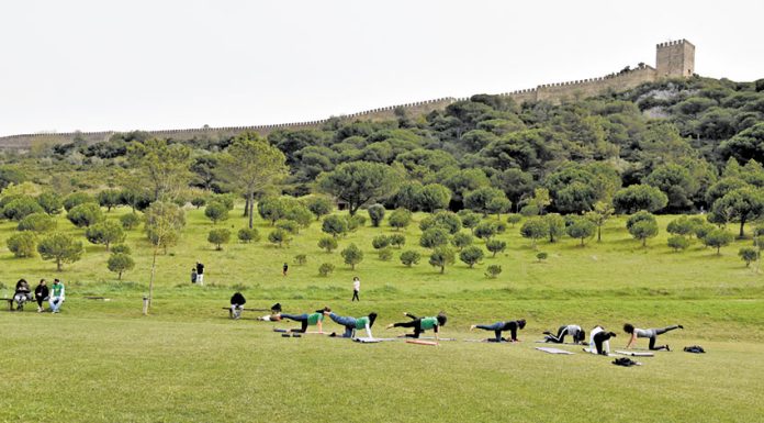 aGuardada dinamiza Oficina da Natureza em Óbidos